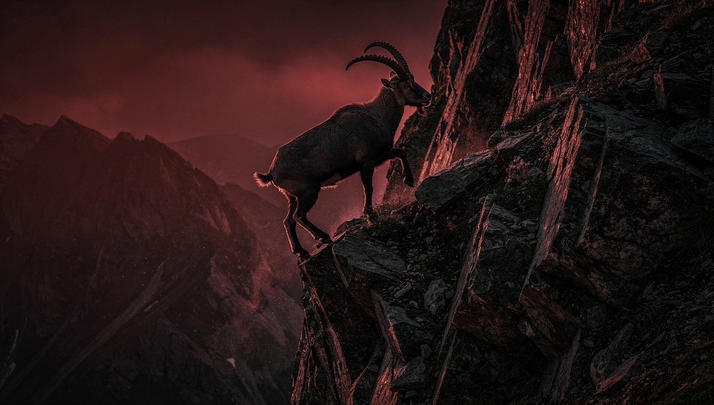 The Ibex