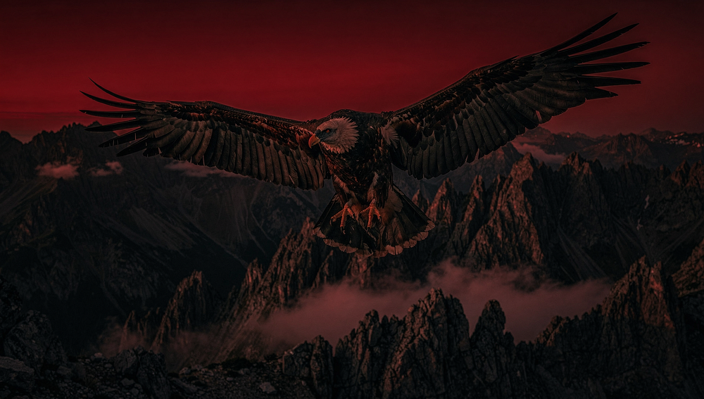 The Bearded Vulture